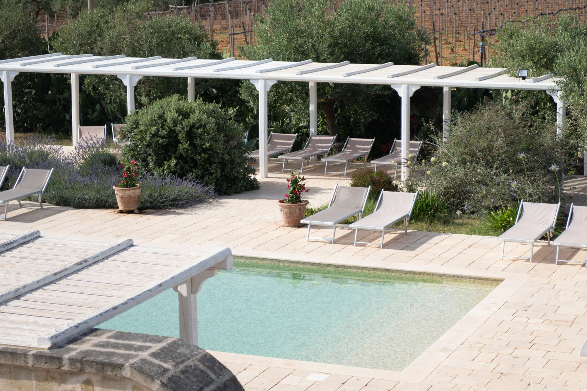 Masseria